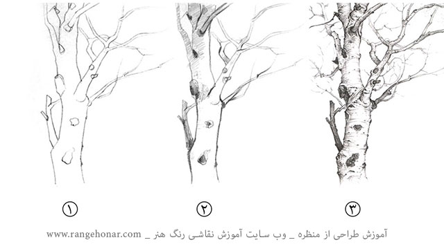 آموزش گام به گام طراحی از درخت ، بخشی از جلسه آموزشی