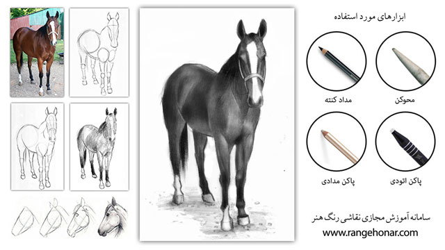 شناخت آناتومی و روش طراحی از اسب